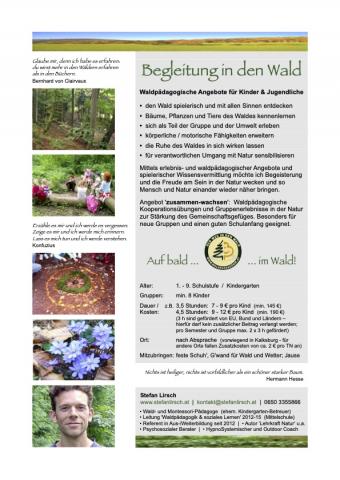Infoblatt Waldpädagogik 'Begleitung in den Wald'